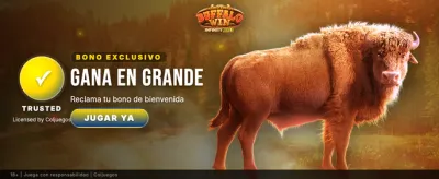 banner_colombia_01_buffalo_win_A
